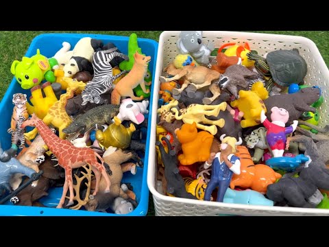 Wild Zoo Animal Toys Collection | Relaxing Music & Visuals for Kids