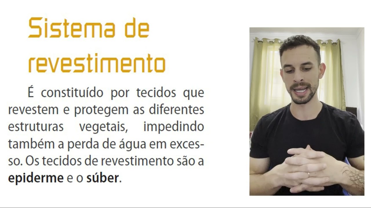 4º Bimestre Histologia Vegetal Revisa Aí EM