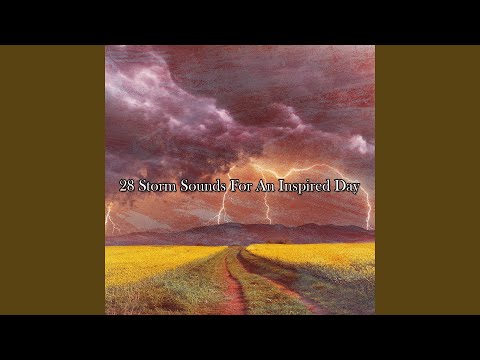 Echoes Of Rainy Day Thought