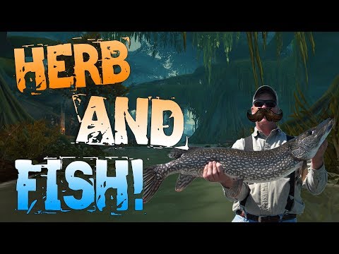 30,000+ Gold/Hour | RiverBud & Fishing | BFA Gold Guide! Video