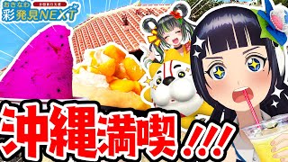 これぞ沖縄！石垣島の食と雰囲気を満喫する！！【後編】#おきなわ彩発見NEXT