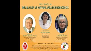 TEK SAĞLIK - İnsanlarda ve Hayvanlarda Echinococcosis