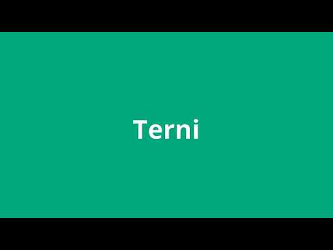 what is the meaning of Terni