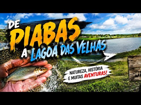  Casando problemas, Piabas a Lagoa das velhas