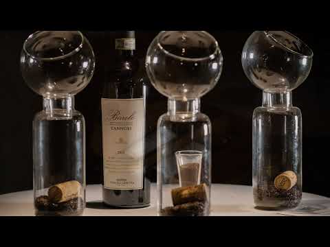 Tenuta Carretta 2024 - Great vineyards