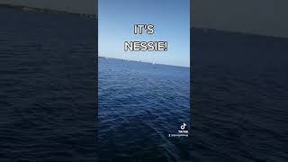 IT&#39;S NESSIE!