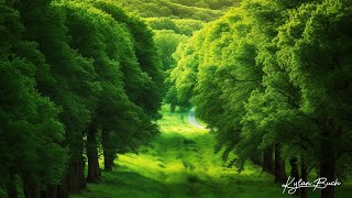 Piano sleep music｜Perfect combination of deep relaxation and music therapy