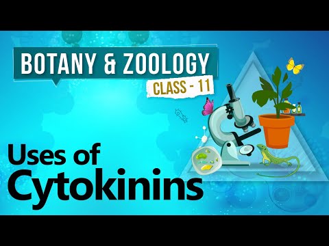 Uses of cytokinins - plant growth and development