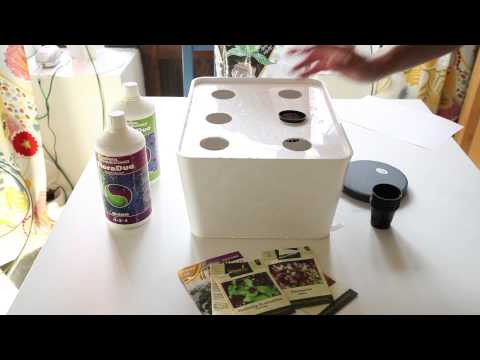 Sätta upp ett DWC - Hemmaodlat