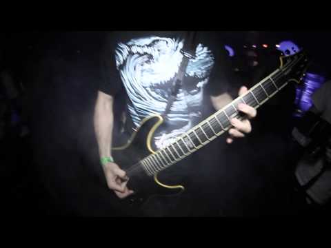 Aveira Skies - Pistol Shrimp