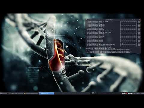 ArcoLinux : 1521 Updating ArcoLinux and Nvidia 440 - update mirrors 1/2