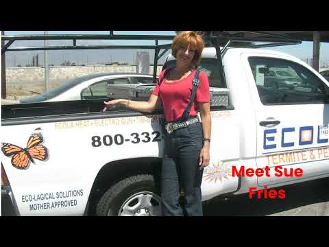 Videos from Ecola Termite - Los Angeles