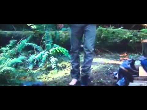 Breaking Dawn Part 2 Zafrina's Ability