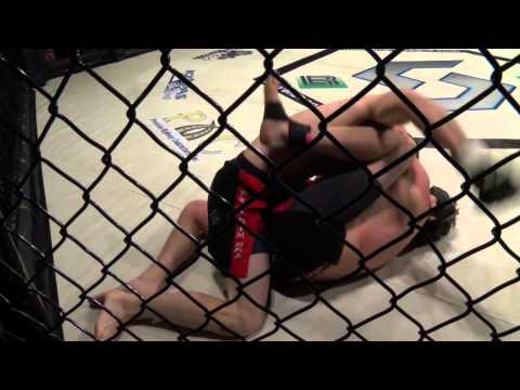 TAYLOR VS  WILVERDING