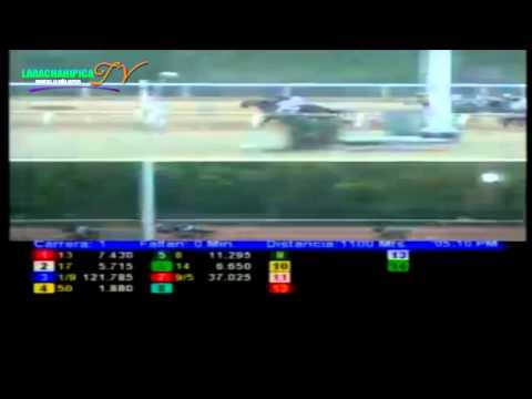 santa rita 1 carrera jueves 03 de abril del 2014