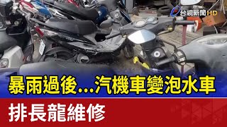 [討論] 藍白雞巴泥巴哥 是這隻嗎?