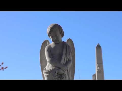 Teaser "Desapego" Alex Boma con Sin Órbita