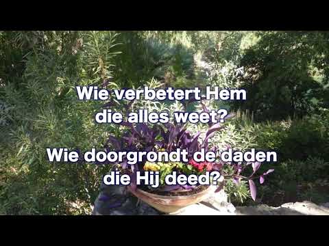 Opwekking 827 Zie onze God 1B