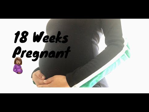 18 Weeks Pregnant | Truth, Changes and TMI Video