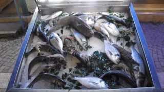 preview picture of video 'Рыбные прилавки Кемера Fish stalls in Kemer'