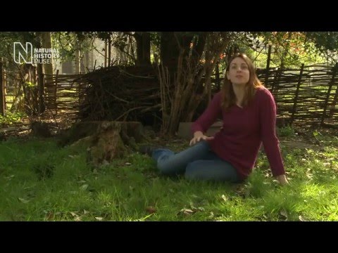 Show a bit more love to the humble earthworm UK