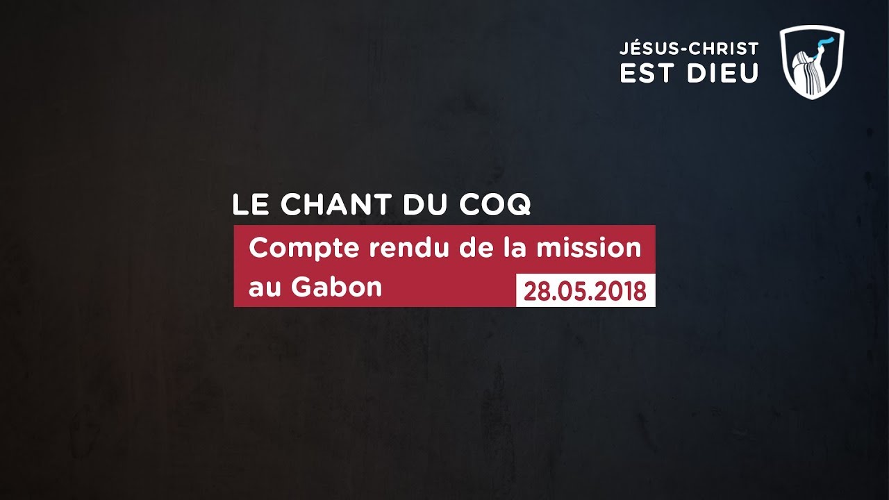 Thumbnail of video: Compte rendu de la mission au Gabon