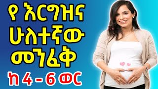 የእርግዝና ሁለተኛው መንፈቅ ( ከ 4- 6 ወር ) በዚህ የእርግዝና ጊዜያት ምን ይፈጠራል ? ምን ጥንቃቄዎች ማድረግ አለባችሁ ?