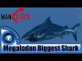 Maneater – Megalodon Biggest Shark Gameplay - Jaws Unleashed