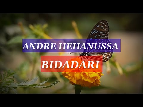 Andre hehanussa - Bidadari |Lyrics