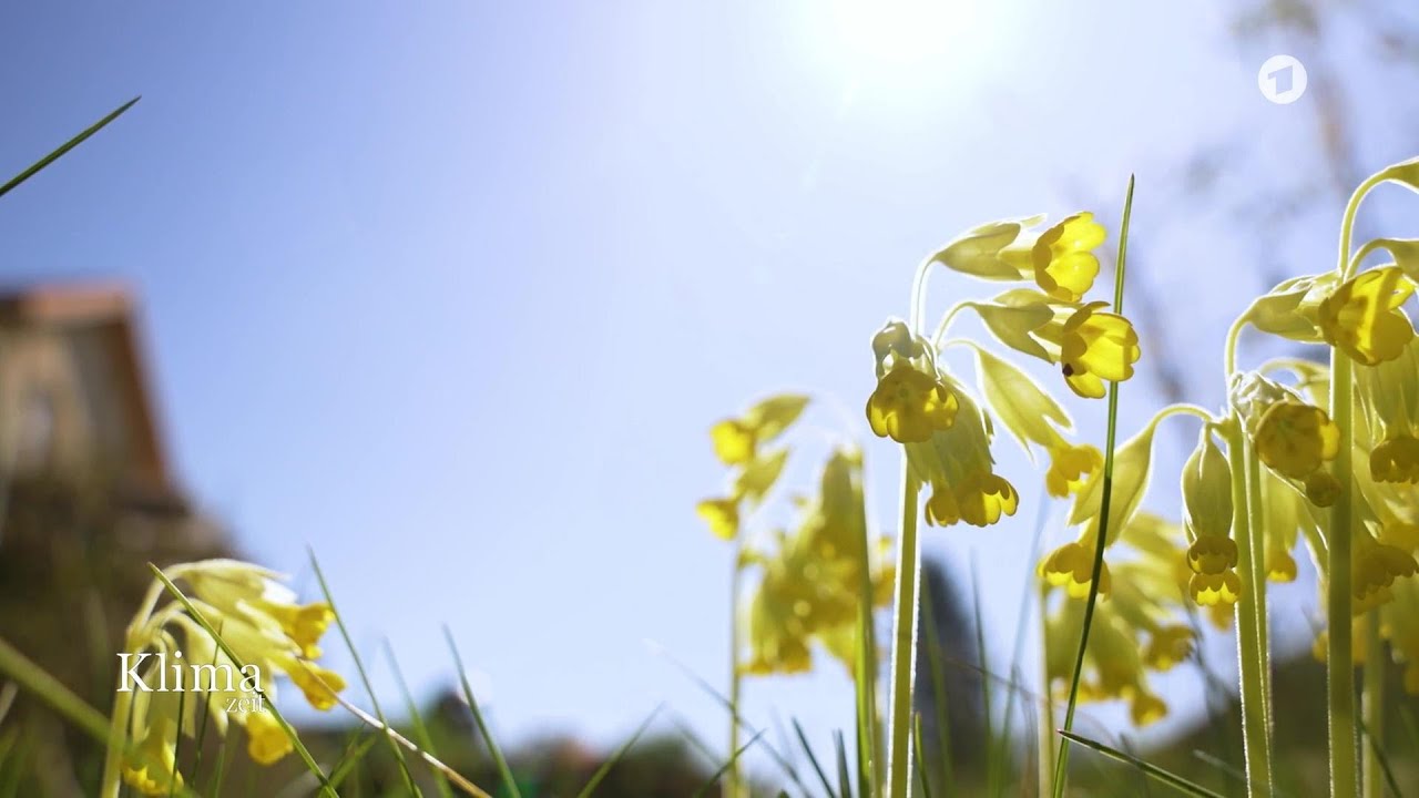 Naturnahe Gärten als Strategie hohen Temperaturen | KlimaZeit vom 10.04.2026