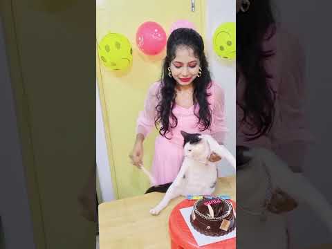 My MUNO's Birthday Celebration...🎂🎂🍰🍰🎂🍬🍬🍭🍭🍫🧁🎈🎈🎈🎊🎈🎈🎈🎈🎁🎁🎀🎀🎀🎀🎁🎁🎁🎁♥️♥️♥️♥️♥️