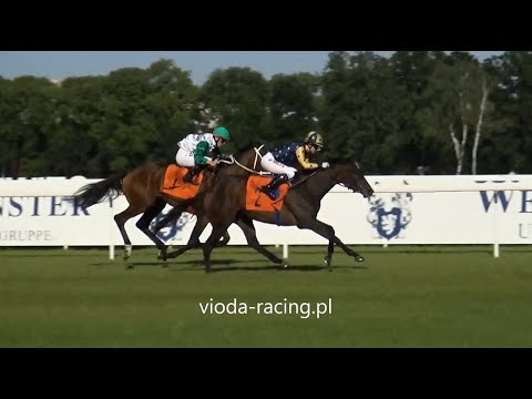 Gon. V (N. Liry - Oaks) - 16.08.2020 - Inter Royal Lady (Holy Roman Emperor - Fearn Royal)