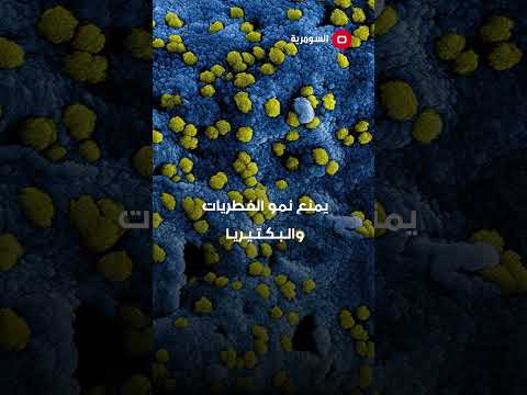 شاهد بالفيديو.. فوائد اليانسون قبل النوم #السومرية #shorts #health