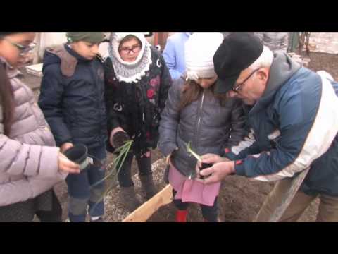 Anteprima: Un orto risorto