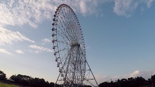 Diamond and Flower Ferris Wheel