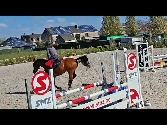 Riding and jumping movie at home Chiron v/h Poeleind Z.