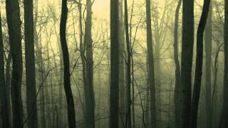 Triggerfinger - All My Floating