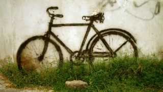 BLAUMUT - BICICLETES