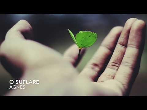 O suflare este omul - Instrumental - Agnes