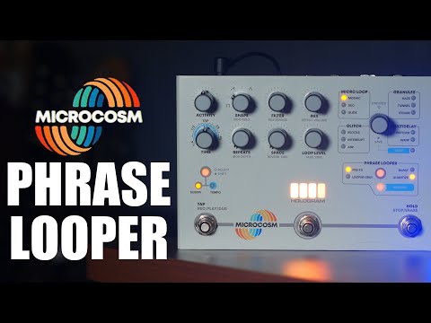 Hologram Electronics Microcosm | Phrase Looper
