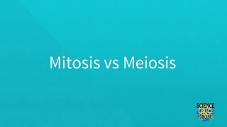 Mitosis vs Meiosis SUPER SIMPLE