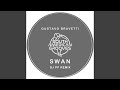 Swan (Original Mix)