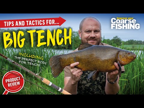 The rigs and baits to help you catch big tench