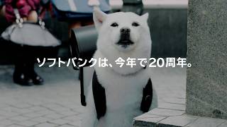 ソフトバンク＆白戸家が20周年！上戸彩らが思い出を振り返る　ソフトバンクモバイル事業20周年記念新CM「白戸家 半額食卓」篇「白戸家 20 年のありがとう」篇