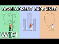 Global Development Explained | World101
