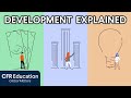 Global Development Explained