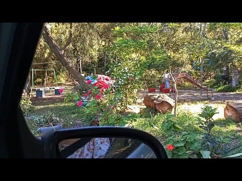 #nature Plantas y flores 💐 Recorrido por Marindia, Uruguay 🇺🇾