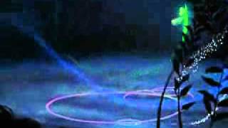 Il giardino dei salici