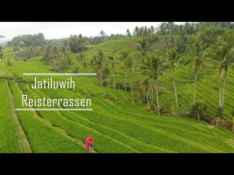Bali Tipps - Secrets | Jatiluwih Reisterrassen