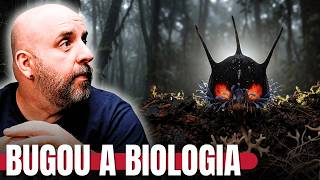 ESSA PLANTA BUGOU A CABEÇA DOS BIÓLOGOS